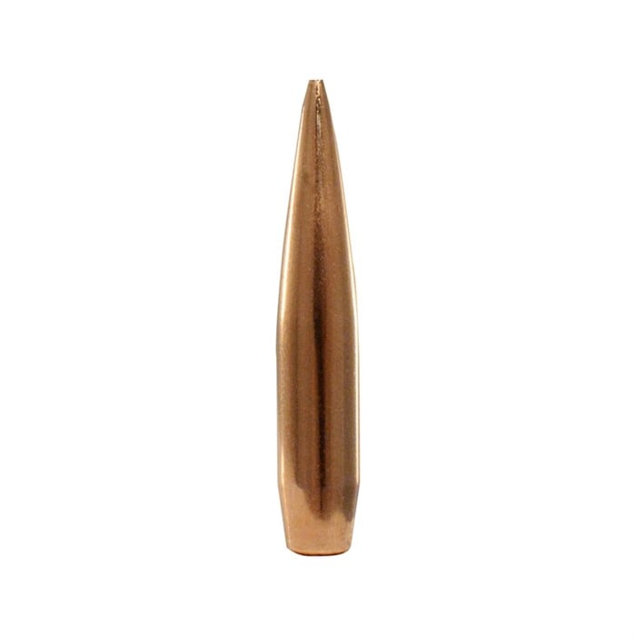 30 Caliber (0.308") 200gr Hollow Point BT 100Box